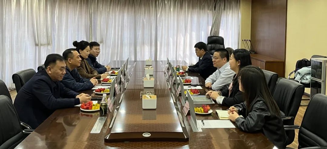 ��Ӯ����������רҵ�ƻ���������������