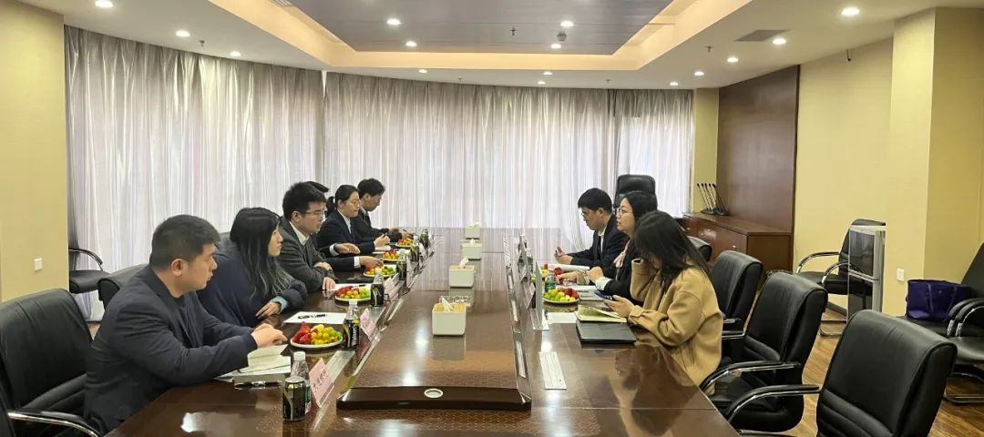 ��Ӯ����������רҵ�ƻ���������������