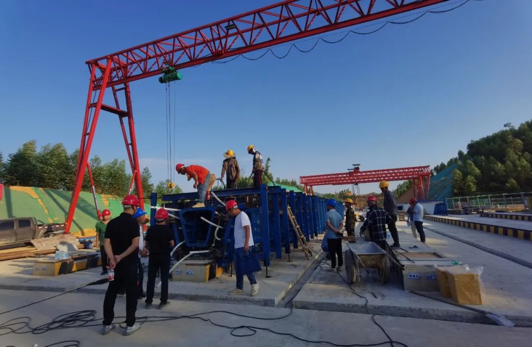 ��Ӯ����������רҵ�ƻ���������������