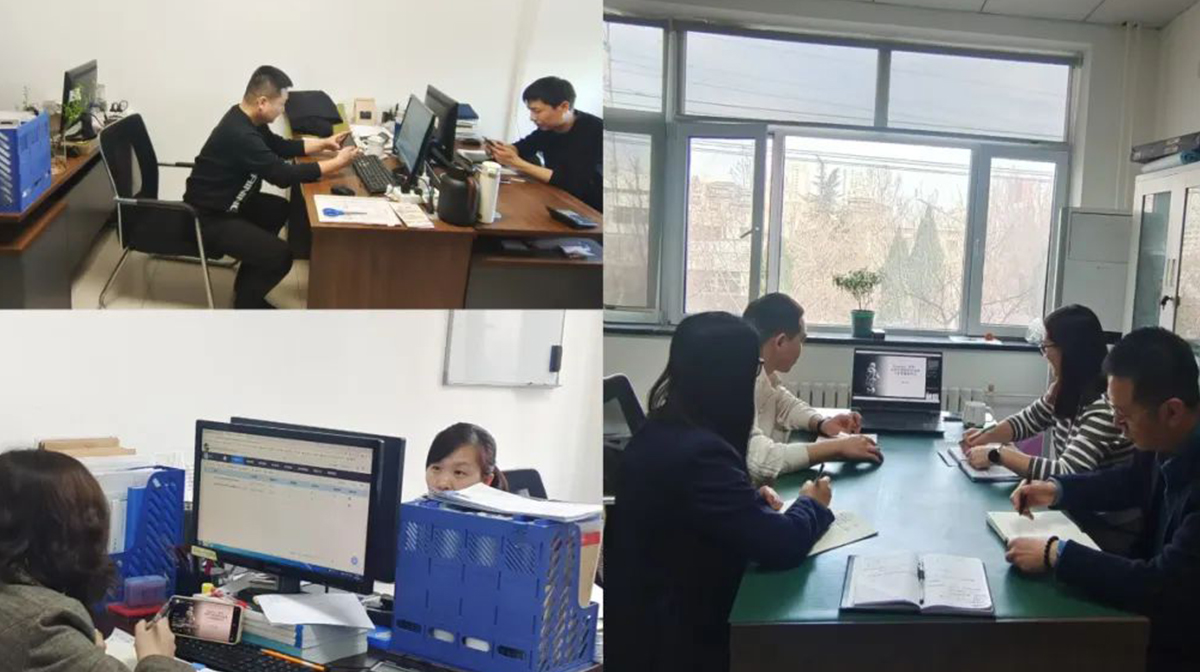 ��Ӯ����������רҵ�ƻ���������������