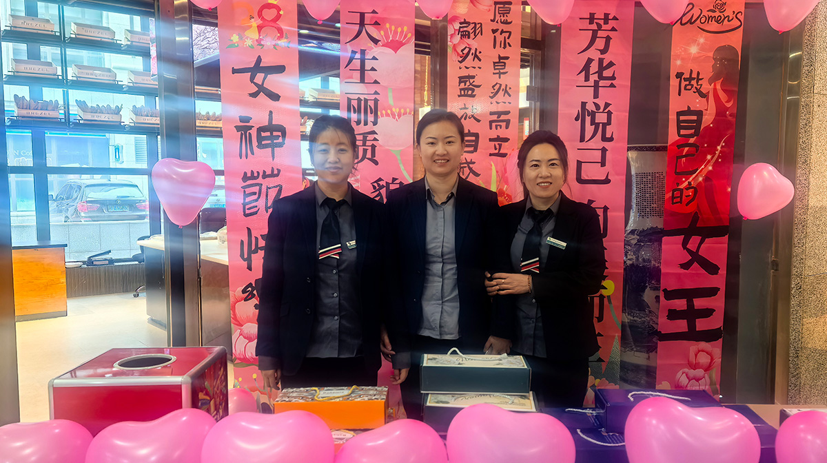 ��Ӯ����������רҵ�ƻ���������������