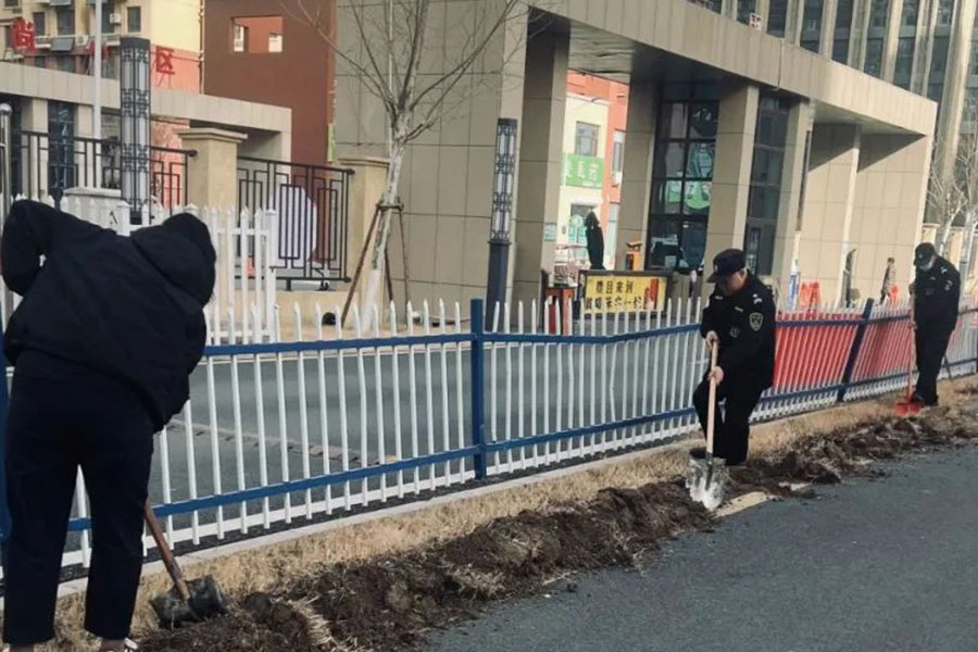 ��Ӯ����������רҵ�ƻ���������������