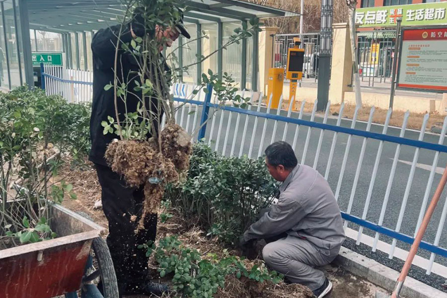 ��Ӯ����������רҵ�ƻ���������������