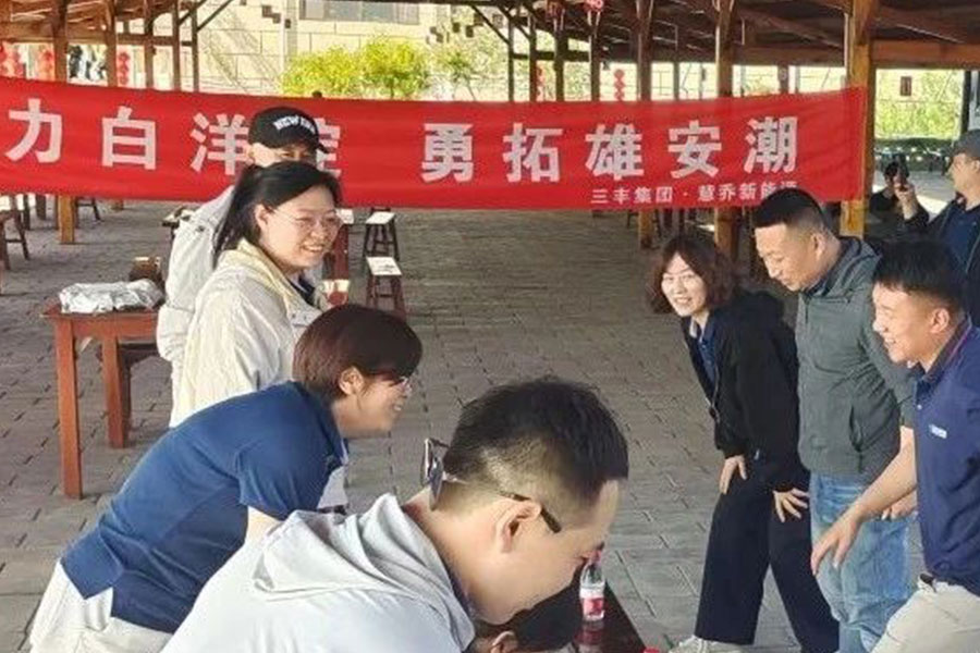 ��Ӯ����������רҵ�ƻ���������������